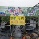 남평체험장