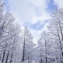 풍경요양병원 이미지