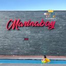 속초마리나베이 | 주차+볼거리) #청초수물회 #청호활어회센터 feat. 근처 숙소 &lt;마리나베이 속초&gt;, &lt;체스터톤스 속초&gt; 후기