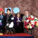 Jena house 이미지