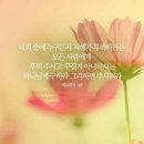 성경그릇 이미지
