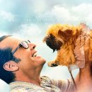 돼지우리순대 이미지