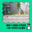 상봉2동 (2) | 중랑구 상봉동 조경업체 나무 가지치기 및 벌목
