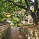 남구-109 이미지