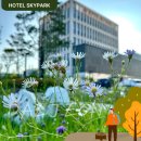 동화울 수변공원 이미지