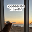더하루 오션뷰&수영장 펜션 이미지