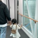 성산읍 창명빌라 앞 | 제주도 서귀포 단체펜션 숙소로 좋은 마이올제주 풀빌라 (feat.추석여행)