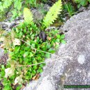 정선고등학교 이미지