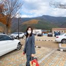 여행 가고 싶은 탑스텐 동강 시스타 리조트 - 태원건설산업 법정의무교육, CS 출강 후기