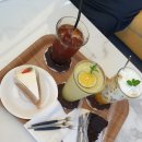 코피발리(KOPIBALI) 이미지