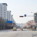 예스공인중개사사무소 이미지