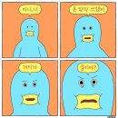 📍보부상 직장인 숄더/크로스백 자크뮈스 나일론 르 밤비무 후기 (사이즈, 수납력)