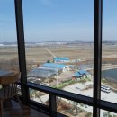 영지한우 이미지