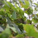 성지산공원 이미지