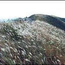 오서목장 이미지