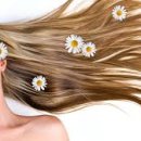 미라헤어 이미지