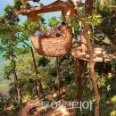 둥지식당 이미지