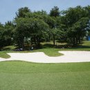 삼성골프장 이미지