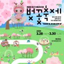 강서 낙동강30리 벚꽃축제(2025년) 이미지