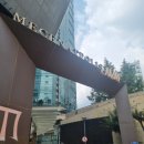 씨제이올리브영(주) 합정메세나폴리스점 | 합정속눈썹 추천하는 &#34;메세나폴리스네일 합정점&#34; 메세나폴리스속눈썹 후기 전후비교