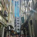 벌칸 | [오클랜드 맛집] 뉴질랜드 여행 중 가장 맛있었던 오클랜드 브런치 카페 MELBA Vulcan(멜바 벌칸)