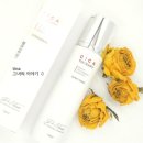 닥터자바스
