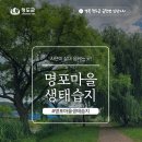 (임당2리)명포습지