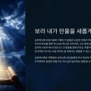 보라만물