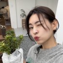 지광원 | 강남 분재 원데이클래스 취미 아틀리에 애채 후기