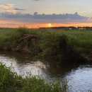 창사하천 이미지