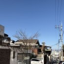 푸른푸릇 | W5. 대구 토탈스튜디오 일라이스튜디오 계약 후기, 사전미팅 후기