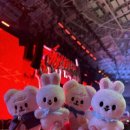 러브 스테이 이미지