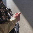 우리의취향 이미지