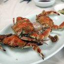 금산횟집 이미지