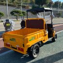 비둘기아파트 다목적회관 | 전라도 순천시 농업용 운반차 ev팜트럭 골프카트 판매 후기 적재함 덤프 가능 차량