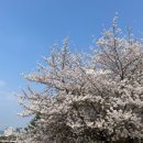 황새울교 앞 이미지