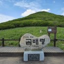 곰배령마루 이미지