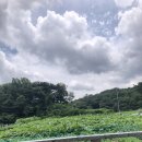 영미국수 이미지