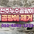 광신프로그레스 | 전주 송천동 광신프로그레스 누수곰팡이 제거 후기