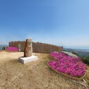 장산 노컷뉴스