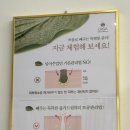 올가드림뷰티 전하점