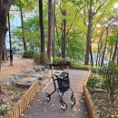 이도컴퍼니 복지용구 쇼룸 | 노인보행기 사용법 어르신보행기 노인 보행보조기 유모차 트러스트케어 렛츠무브 후기