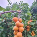 행복한시간 이미지