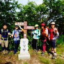 백두그린 이미지