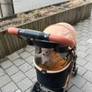 은병원 이미지