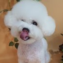 제이앤제이 그루밍 이미지