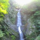 삼학센터-48 | 170828 하동 쌍계사(쌍계사-불일폭포 왕복)