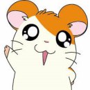 이** 이미지