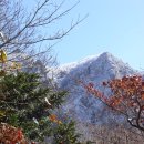 서귀포종합사회복지관 이미지