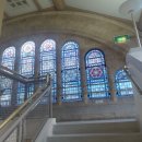 NATURAL9 | [블챌 9주차] 런던 자연사 박물관 / London Natural History Museum / 카페&amp;레스트랑과 길을 완전 정복...